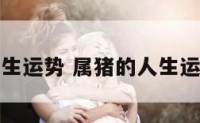属猪的人生运势 属猪的人生运势怎么样