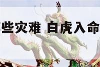 白虎入命有哪些灾难 白虎入命有哪些灾难现象