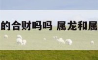 属龙和属虎的合财吗吗 属龙和属虎的人合得来吗