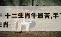 十二生肖牛 十二生肖牛最苦,手下留情是佛心指什么生肖