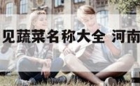 河南农村常见蔬菜名称大全 河南蔬菜特产有哪些