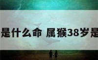 属猴38岁是什么命 属猴38岁是什么命格