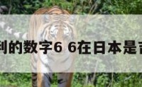 日本不吉利的数字6 6在日本是吉利数字吗