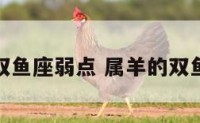 属羊双鱼座弱点 属羊的双鱼座命