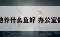 办公室鱼池养什么鱼好 办公室做水池养鱼