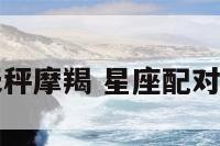 星座配对天秤摩羯 星座配对天秤摩羯男
