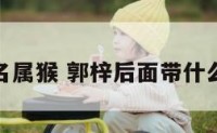 郭梓取名属猴 郭梓后面带什么字男孩