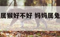 妈妈属兔我属猴好不好 妈妈属兔我属猴好不好呀