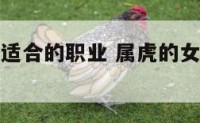 属虎的女人适合的职业 属虎的女人适合什么样的工作