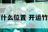 开运竹放客厅什么位置 开运竹买几个寓意好