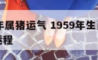 1959年属猪运气 1959年生肖猪2021年运程