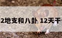 12天干12地支和八卦 12天干十二地支