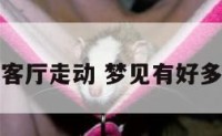 梦见有人在客厅走动 梦见有好多人在我客厅