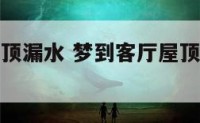 梦到客厅屋顶漏水 梦到客厅屋顶漏水什么意思