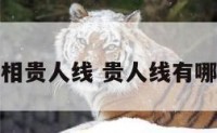 贵人线手相贵人线 贵人线有哪几条图解