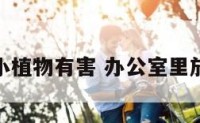 办公室放小植物有害 办公室里放植物好处