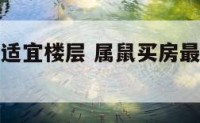 属鼠人买房适宜楼层 属鼠买房最佳楼层和朝向