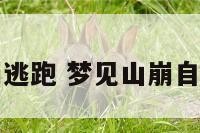 周公解梦山崩逃跑 梦见山崩自己并逃过灾难