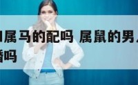 属鼠男人和属马的配吗 属鼠的男人和属马的女人能结婚吗