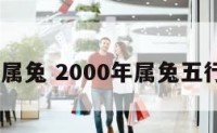 2000年属兔 2000年属兔五行属什么