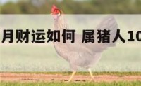 属猪人10月财运如何 属猪人10月财运如何呢