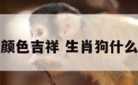 生肖狗什么颜色吉祥 生肖狗什么颜色吉祥呢