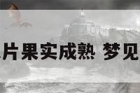 梦到大片果实成熟 梦见大果实