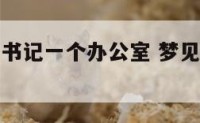 梦见和市委书记一个办公室 梦见和县委书记一起