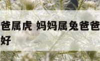 妈妈属兔爸爸属虎 妈妈属兔爸爸属虎生什么属相的宝宝好