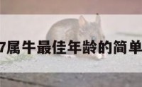 1997属牛最佳年龄的简单介绍