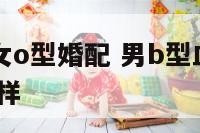 男b型血与女o型婚配 男b型血女o型血生的小孩怎么样