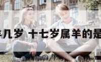 2017属羊几岁 十七岁属羊的是零几年的