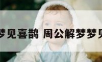 周公解梦梦见喜鹊 周公解梦梦见喜鹊入怀