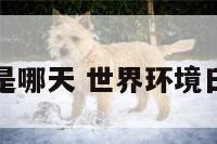 世界环境日是哪天 世界环境日是什么时间