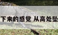 从高处滑下来的感觉 从高处坠落的感觉