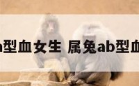 属兔的a型血女生 属兔ab型血的女孩