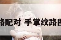 手掌纹路配对 手掌纹路图解准吗