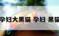 孕妇大黑猫 孕妇 黑猫
