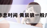 黄鼠狼作息时间 黄鼠狼一般几点出来