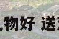 送双子座的男生礼物好 送双子座男礼物推荐