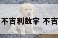 哪些数字不吉利数字 不吉利的数字