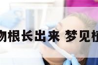 梦见植物根长出来 梦见植物根茎