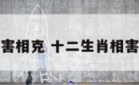 十二生肖相害相克 十二生肖相害相刑一览表