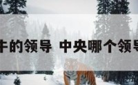 中央属牛的领导 中央哪个领导属牛的