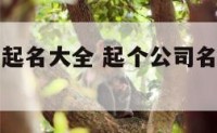 三个名公司起名大全 起个公司名称什么名字三个字的