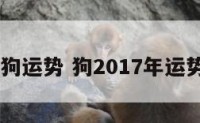 2017金狗运势 狗2017年运势完整版