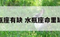 水瓶座有缺 水瓶座命里缺啥
