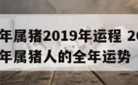 1983年属猪2019年运程 2019年1983年属猪人的全年运势