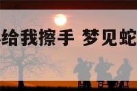 梦见蛇用身体给我擦手 梦见蛇用身体给我擦手了
