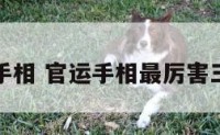 官运的手相 官运手相最厉害三个地方